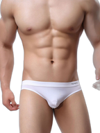 2 Pack Men's Ultra-Thin Ice Silk Briefs