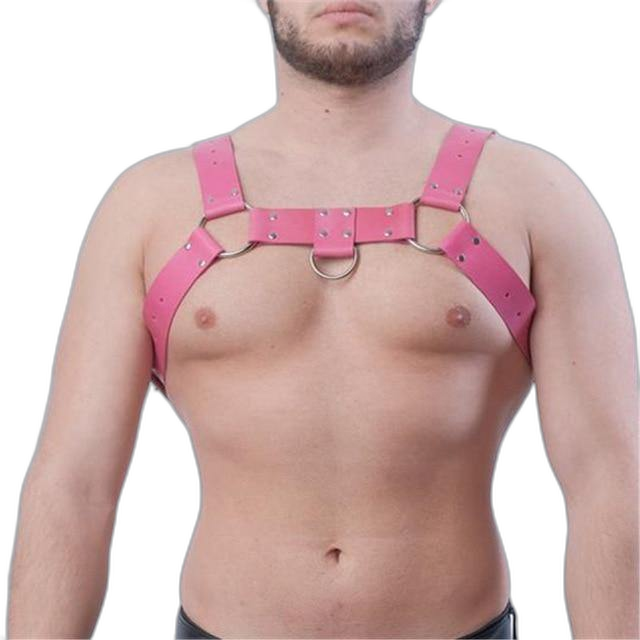 Basic Hot Pink Harness