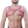 Basic Hot Pink Harness