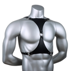 Leather Triangle Harness