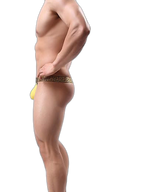 4 Pack Men's Single Pouch Ice Silk Sexy Thong