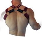 Breedwell Mister Luxe Body Harness Oxblood