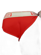 Men’s Elasticated Waistband Low-rise Pouch Briefs
