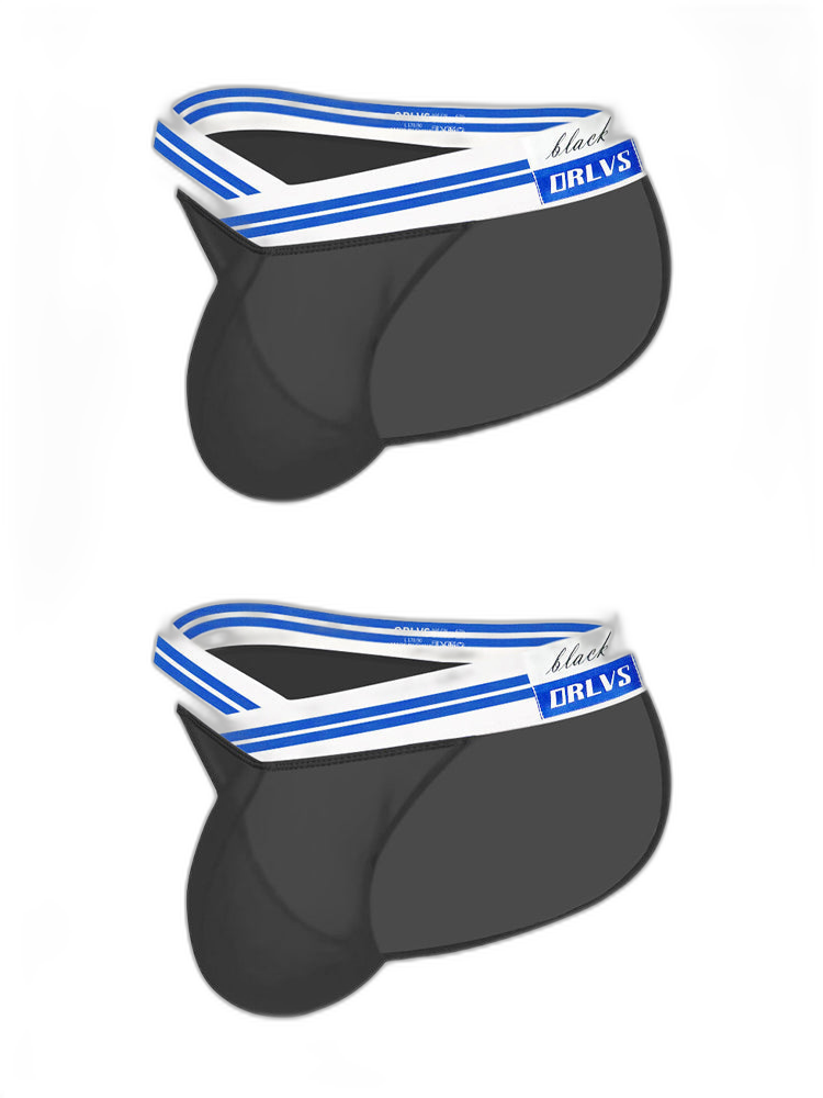 2-pack Men's Sexy Semi-transparent Mesh Briefs
