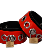 Dual-Colored Silicone Restraints