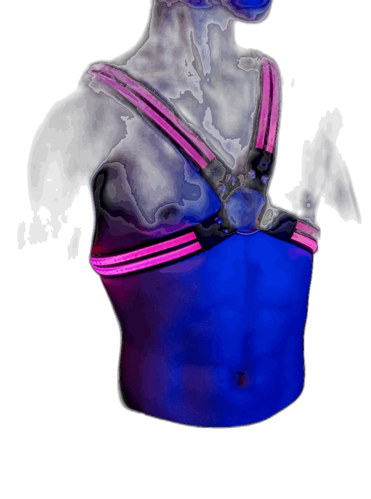 Glow X-Chest Harness (LED)