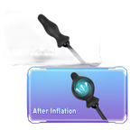 Inflatable Butt Plug - 10 Frequency Anal Vibrator - Anal Trainer
