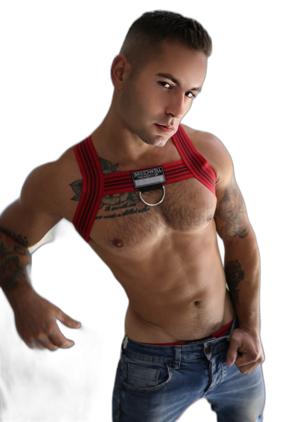 Breedwell Cumdump Bulldog Harness Red