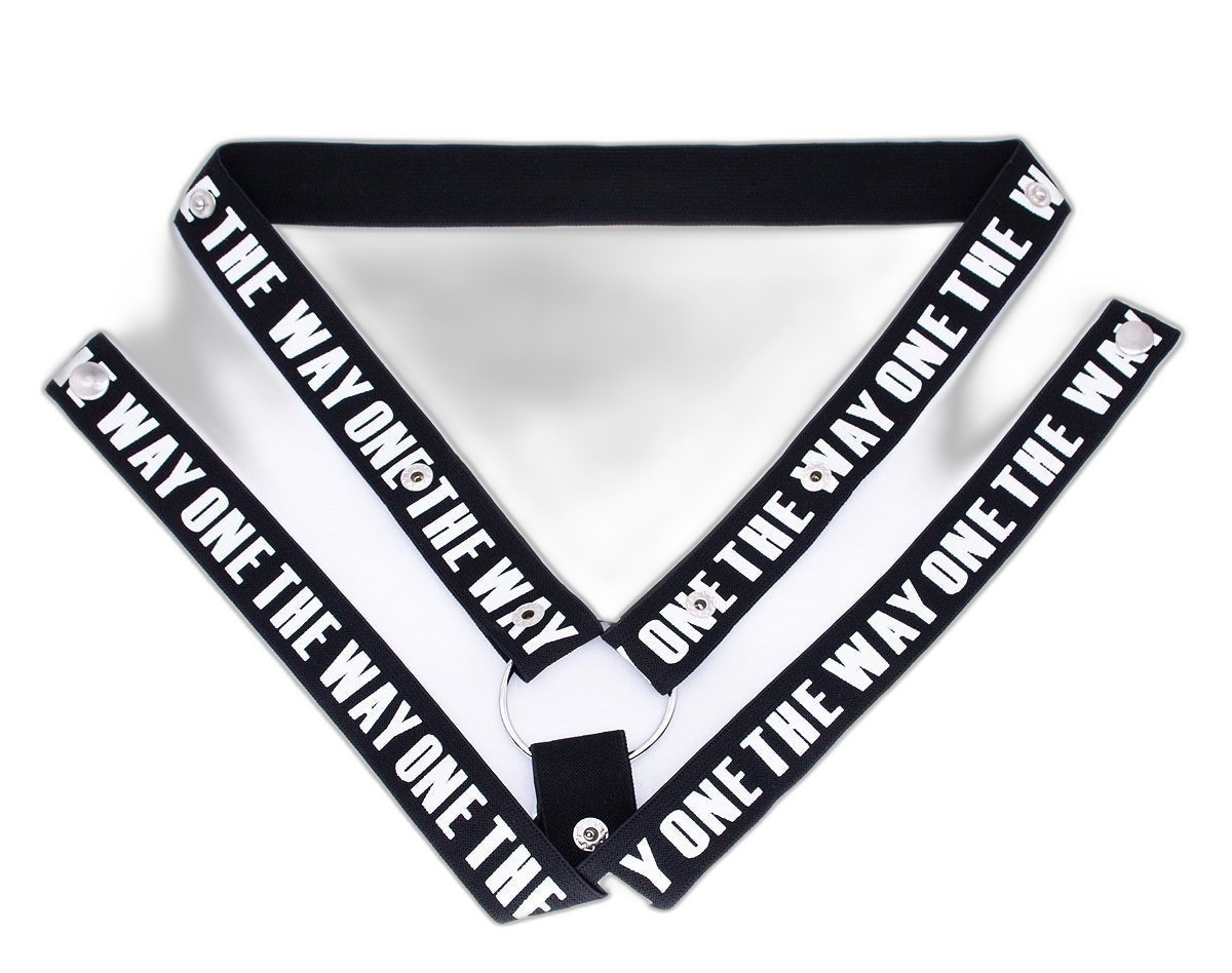 Chastity Cage Tightening Belt