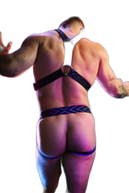 Breedwell Dickmatized Harness Blue