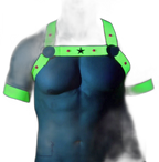 Fluorescent Star Harness