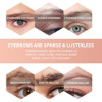 Highlight Eyebrow Laminating Effect Not Easy To Makeup Natural Three-dimensional Wax