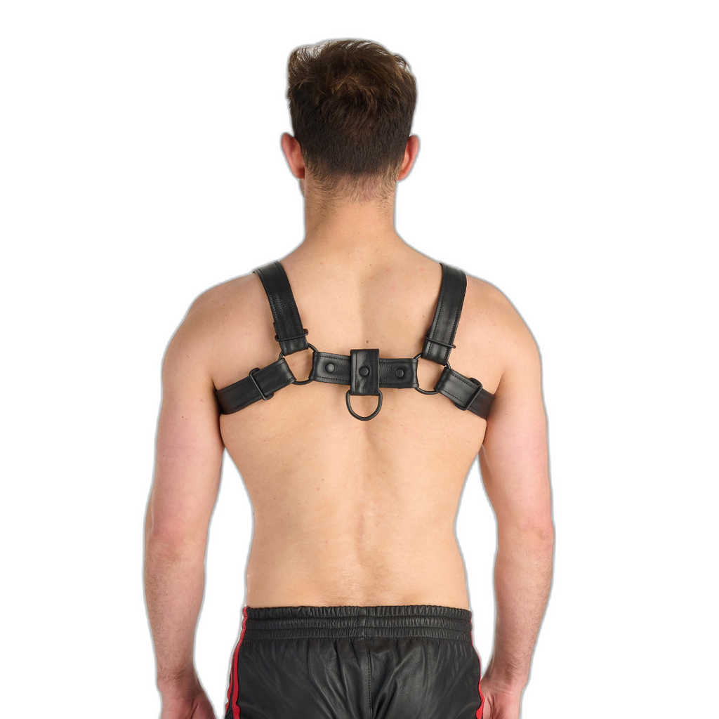 Prowler RED Leather Bull Harness With Metal Fittings Black
