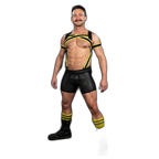 Mr.S Leather X-Factor Carbon Black Body Harness | Yellow