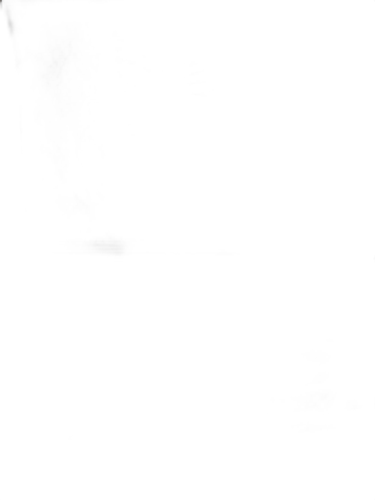Men's High Waist Tummy Control Shaper Boxer Briefs