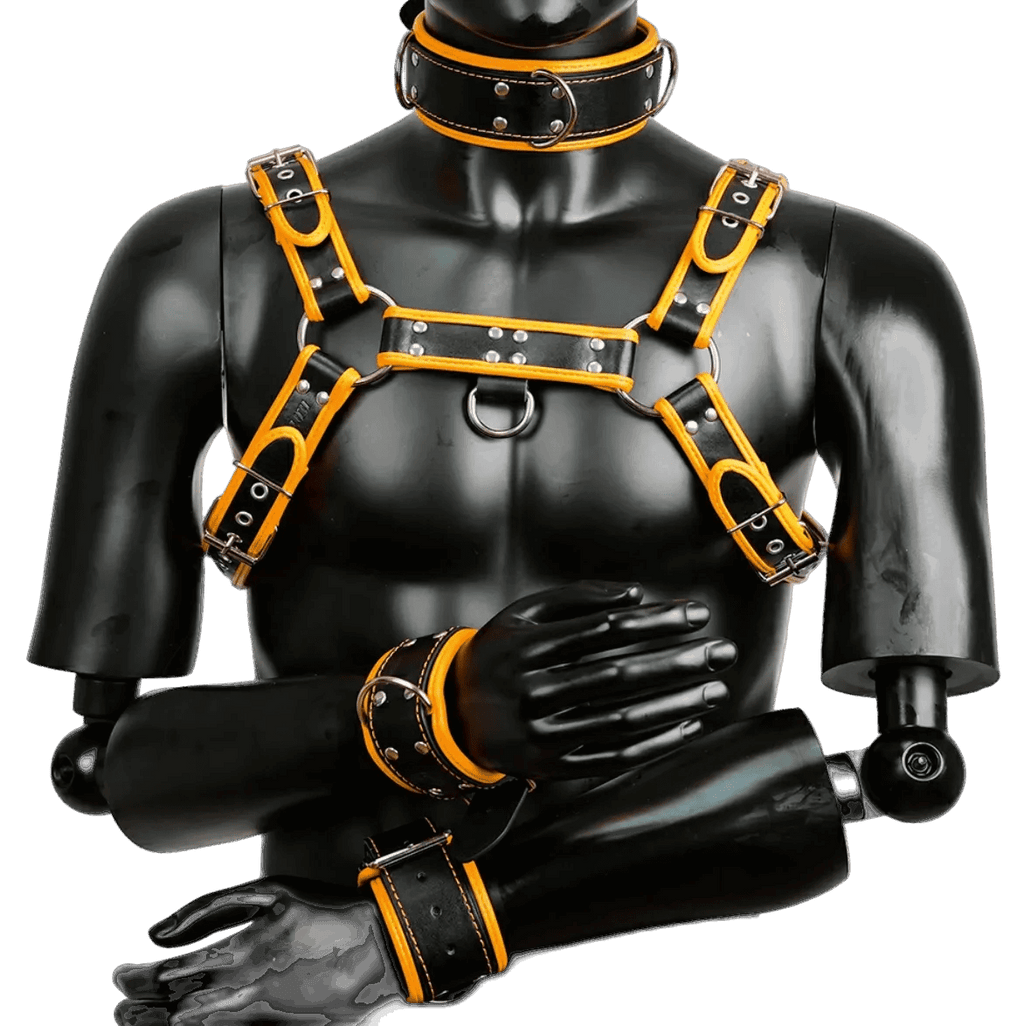 Harness, Cuff, Collar Bundle Orange