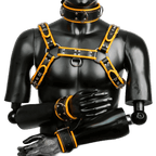 Harness, Cuff, Collar Bundle Orange