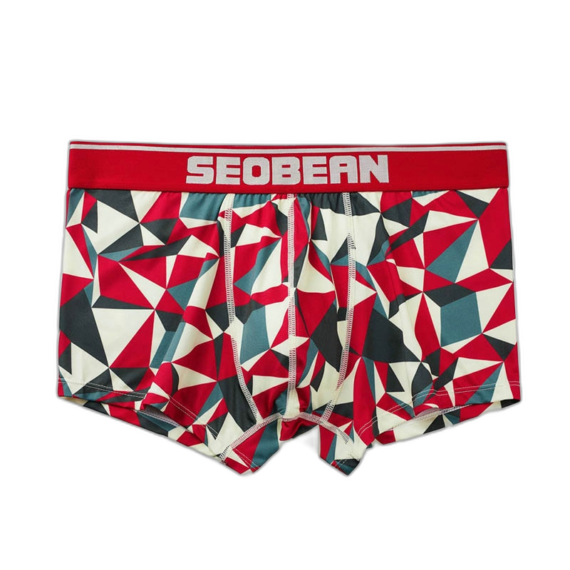 Seobean Geometric Boxers