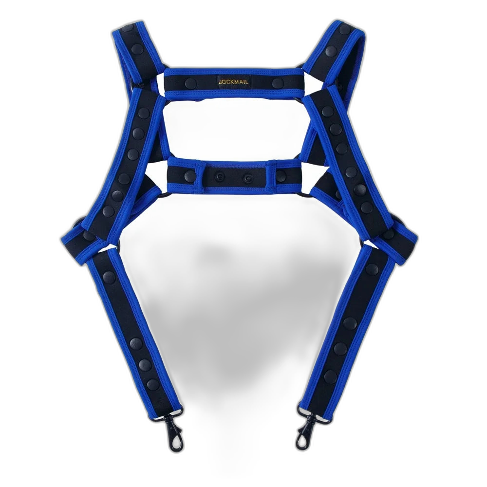 Décadance Ready Harness & Buckle Lingerie