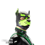 Standard Neoprene Pup Hood