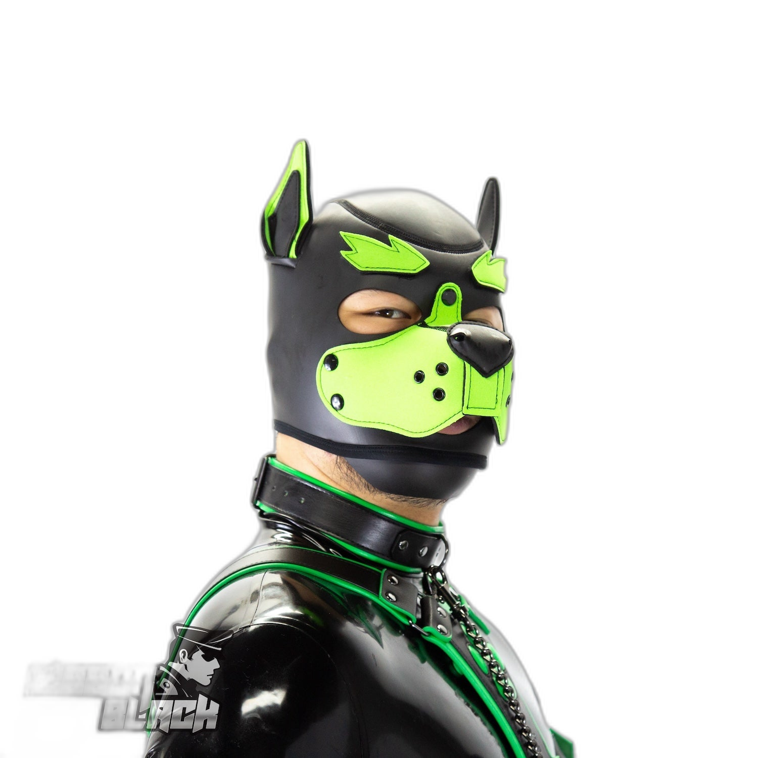 Standard Neoprene Pup Hood