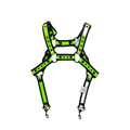 Dog & Master Body Harness Green