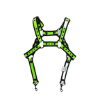 Dog & Master Body Harness Green