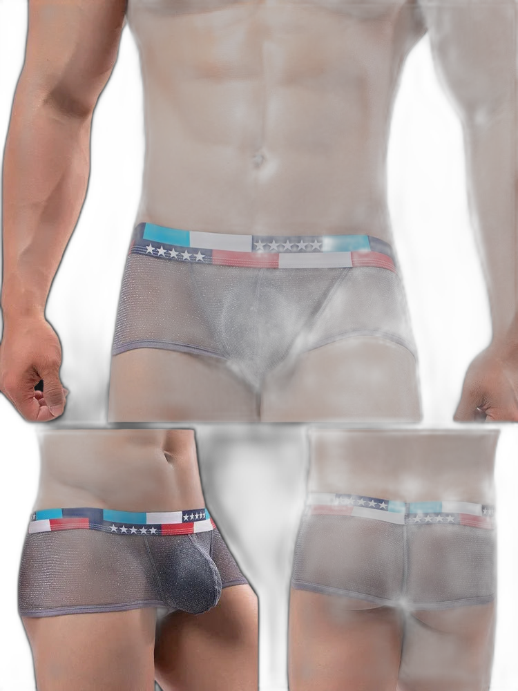 4-pack Low-rise Micro-mesh Boxer Briefs