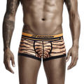 Seobean Tiger Boxers