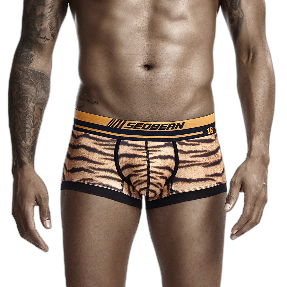 Seobean Tiger Boxers