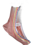 3 Pack Men's Ice Silk Middle-Rise Summer Thongs