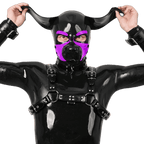 Furrjoi Silicone Beagle Hood Purple