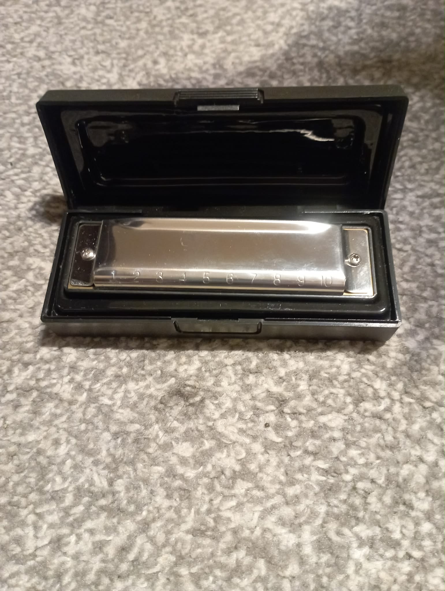 Stainless Steel HARMONICA in Case