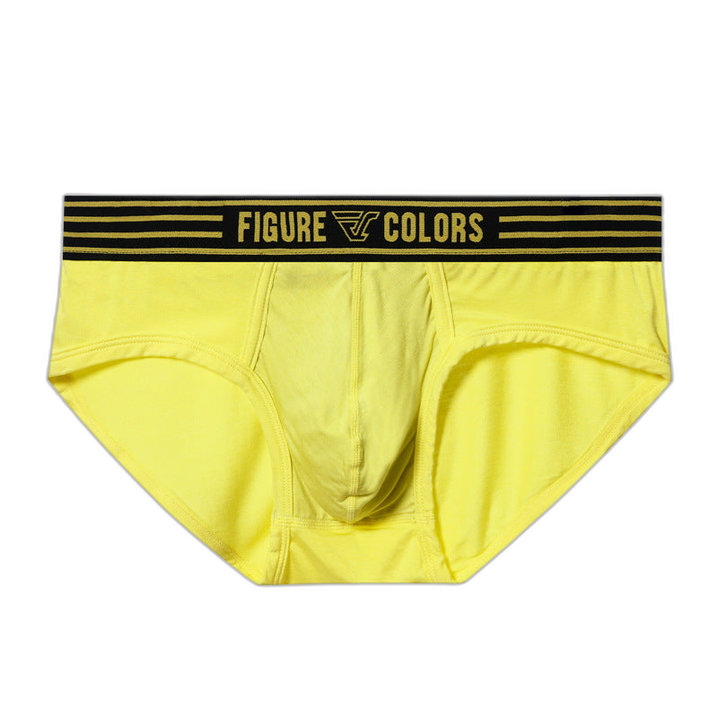 Figure Essentials Briefs