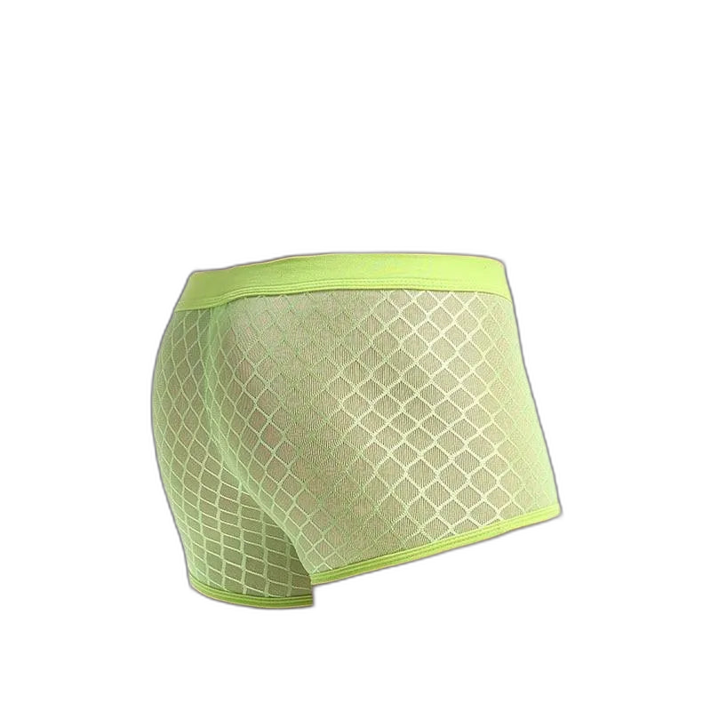 Transparent Mesh Boxers
