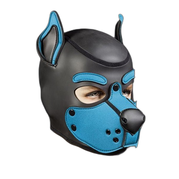 Mr S Leather Neoprene K9 Puppy Hood | Black/Aqua