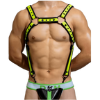 Dog & Master Body Harness Green