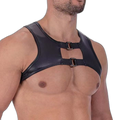 Twin Buckle Leather Harness