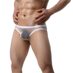 Mesh Fishnet Briefs