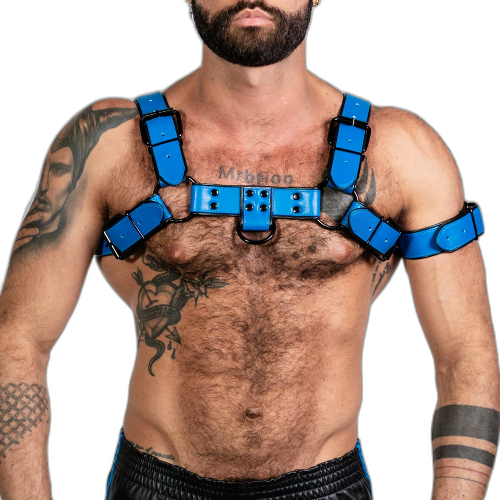 ruff GEAR Bold Leather Bulldog Harness Blue