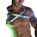 Breedwell Illuminator Bulldog Harness Holo