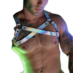 Breedwell Illuminator Bulldog Harness Holo
