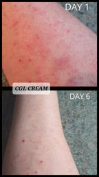 Chamomile Geranium & Lavender Cream - Transform Your Skin, Transform Your Life!