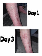 Chamomile Geranium & Lavender Cream - Transform Your Skin, Transform Your Life!