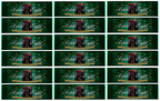 18 x After Eight Dark Mint Chocolate Box - 300G