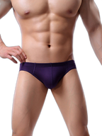 4 Pack Soft Modal Breathable Men Briefs