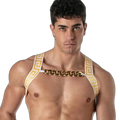Leader Invictus Harness | White Gold