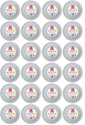 24 X Jaunty Paper Plates White 9 Inch 25 PACK