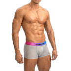 GX Spectrum Boxer Briefs