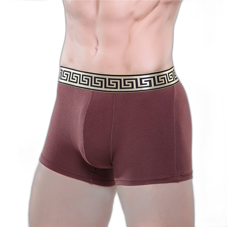 Olympus Boxer Briefs